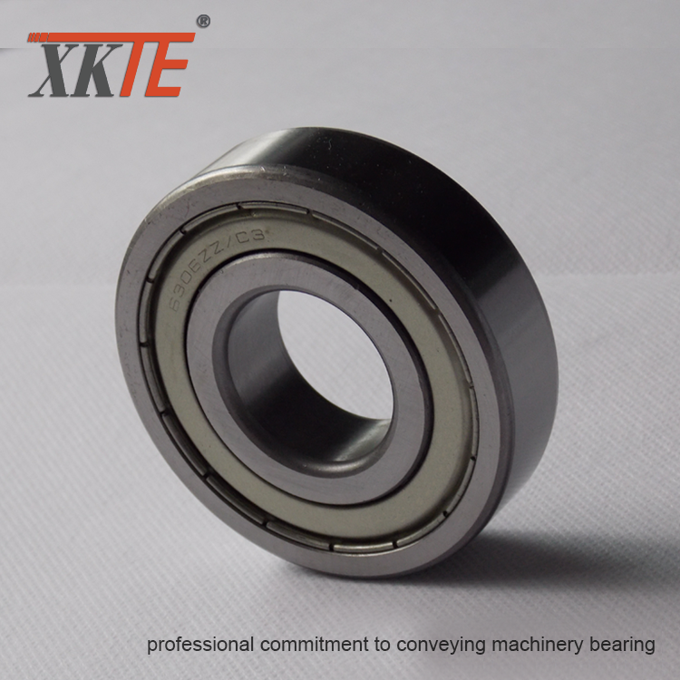 สายพานลำเลียง Idler Parts Iron Shielded Bearing 6204 ZZ